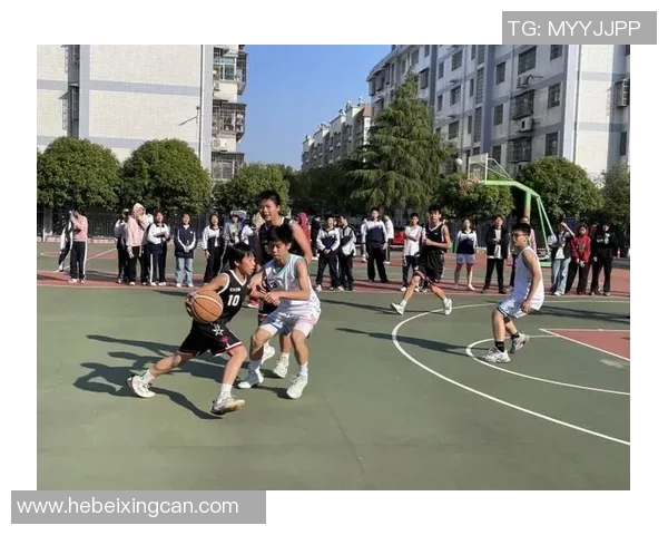 兄弟情深篮球梦圆篮球明星真人头像展现青春活力与拼搏精神